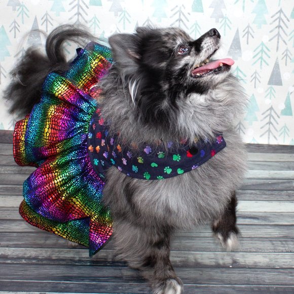 Thread 9 Other - Thread 9 | True Colors Pride Dress | Small Medium Large Dogs | Gift